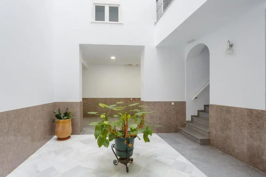 Atico-Solarium CITY Hall by Cadiz4Rentals