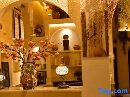 Kashgar  Adenium obesum B&B