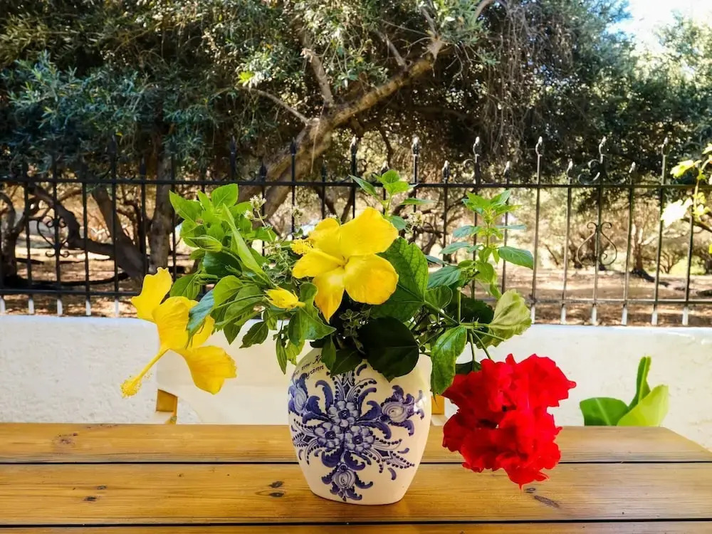 Pretty Holiday Home with Lotus Garden & Terrace near Sea Beach