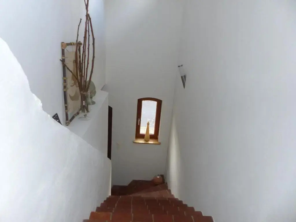 Apartment Casa 7