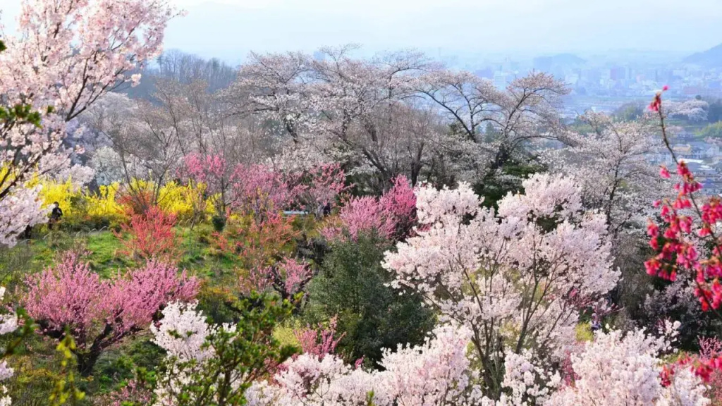 Toyoko Inn Fukushima-Eki Higashi-Guchi No.2