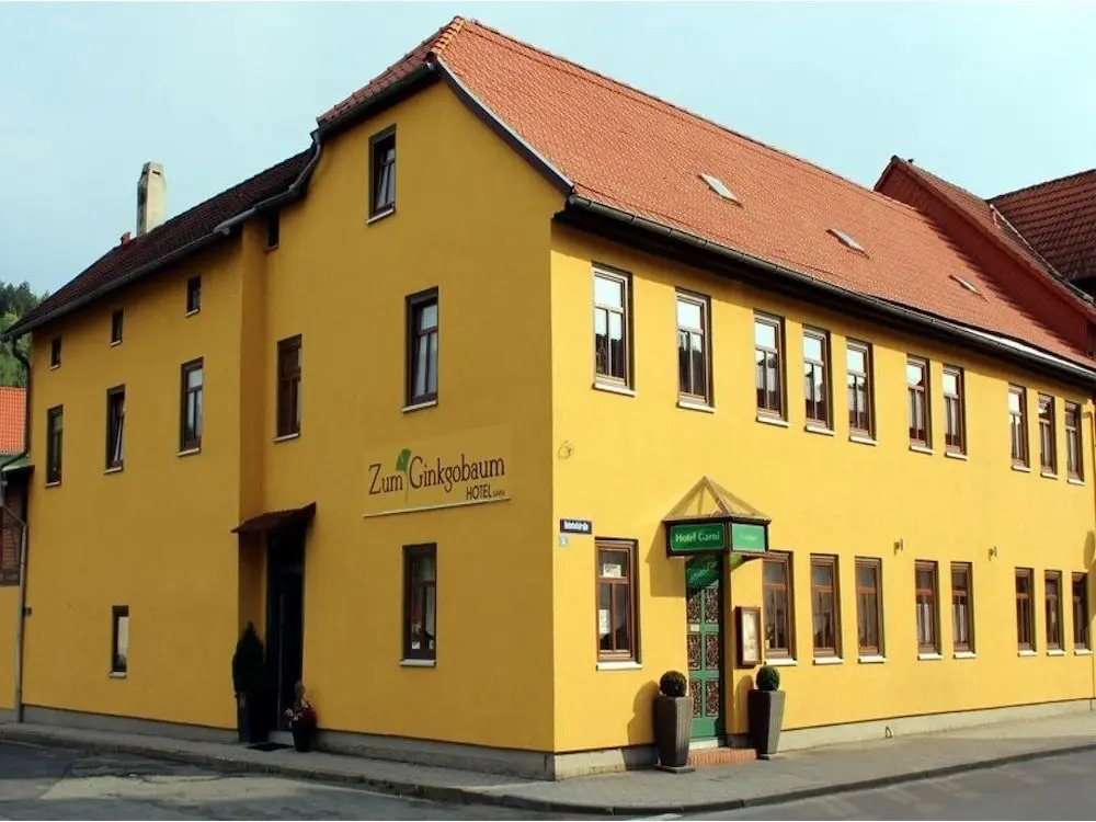 Zum Ginkgobaum