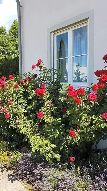 Boutiquehotel Drei Ringe Schwörstadt - Rheinfelden