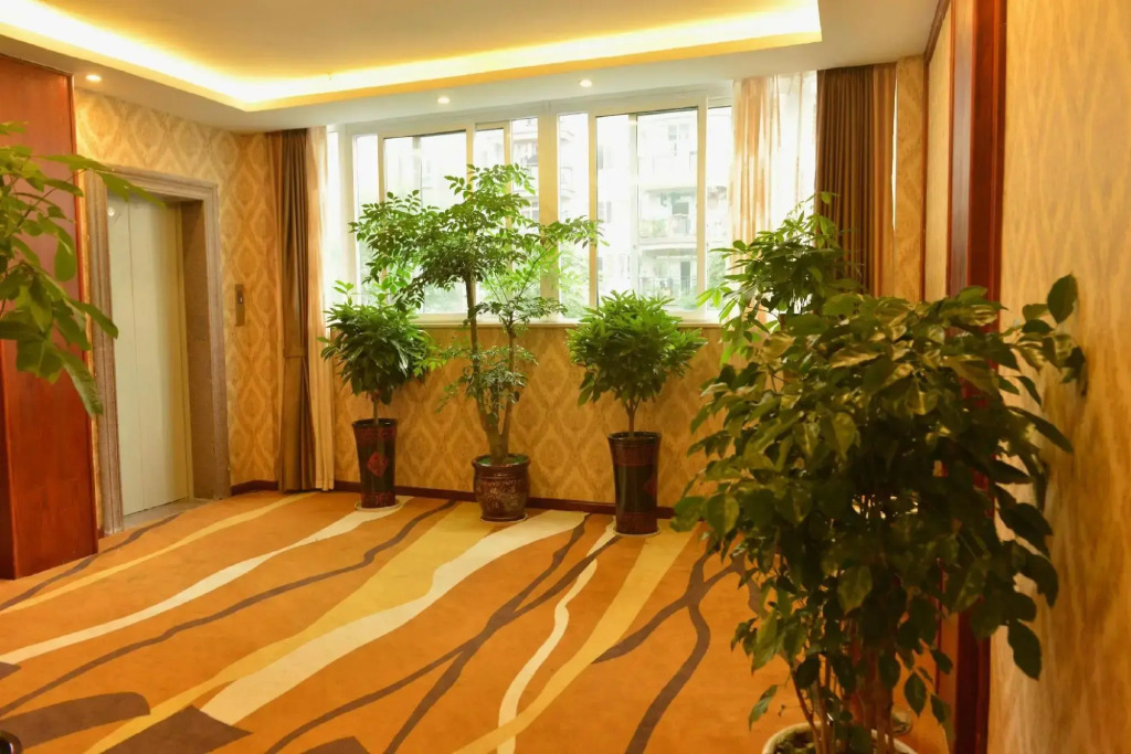 Yixuan Hotel (Rongchang District Government Stadium)