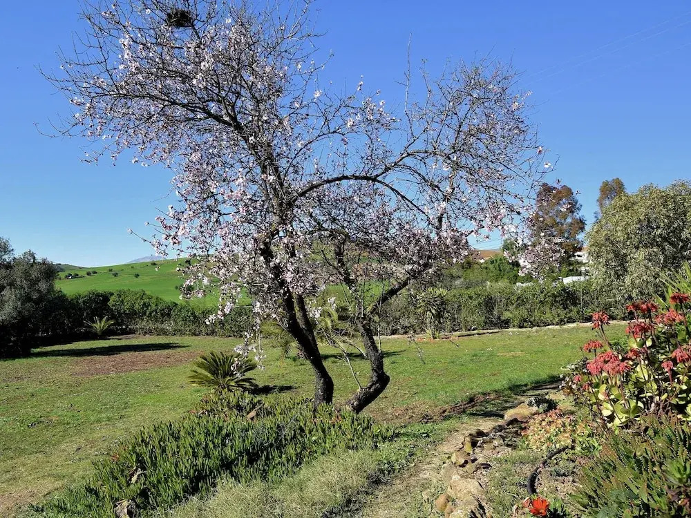 Lovely Holiday Home With Private Swimming Pool in Almogía