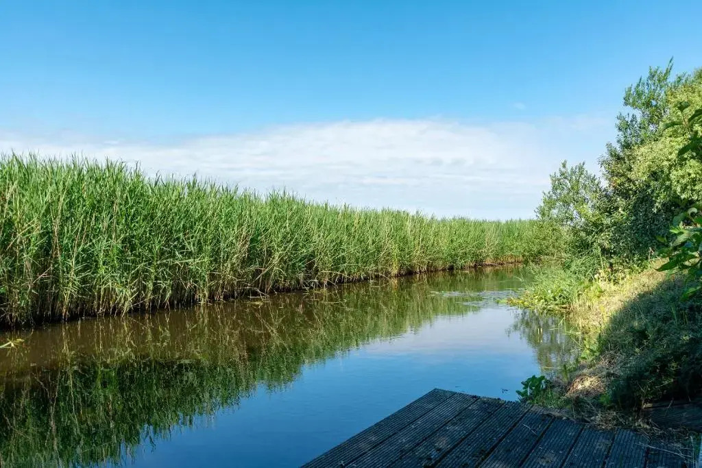 Buitenplaats 16 Callantsoog
