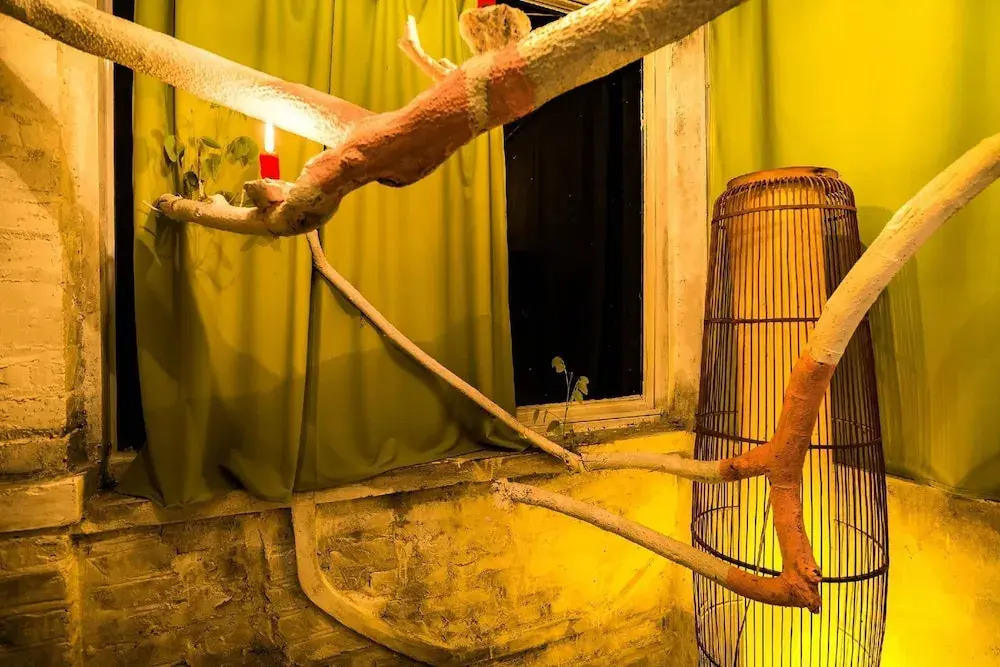 Dao Anh Khanh Studio Homestay