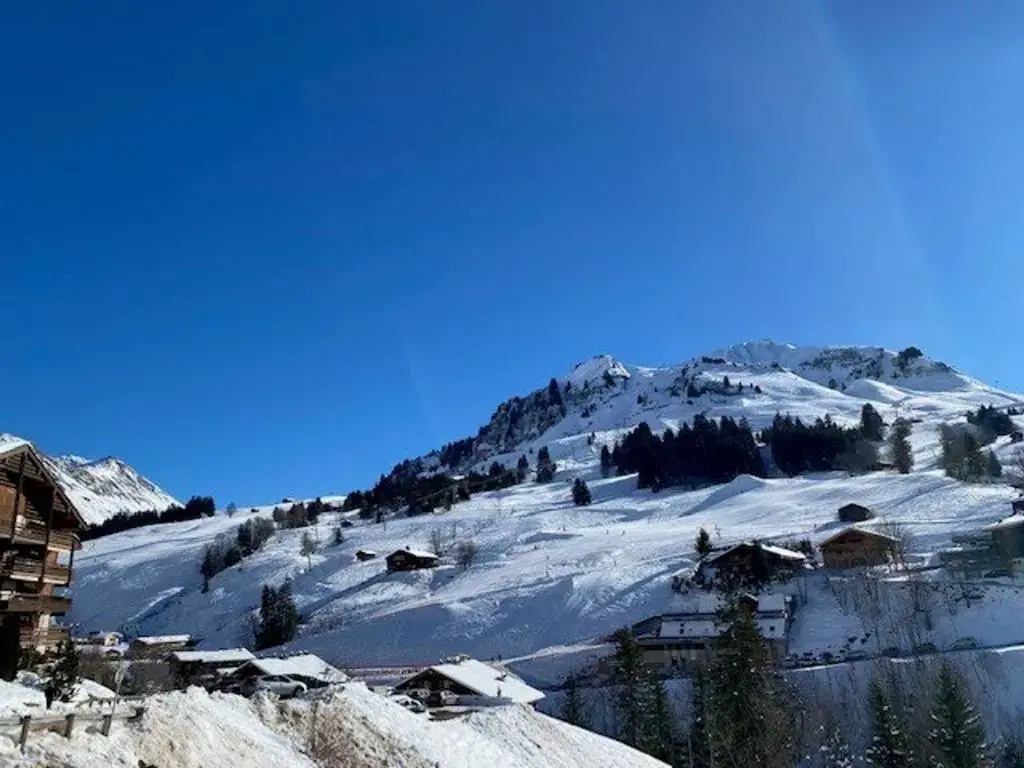 Appartement Le Grand-Bornand, 3 pièces, 6 personnes - FR-1-458-112