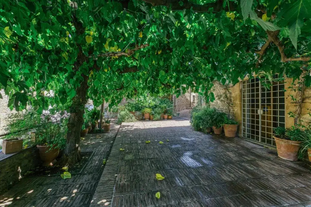 Apartament Farigola