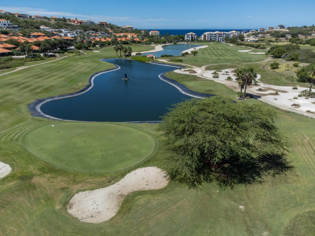 Blue Bay - Green View