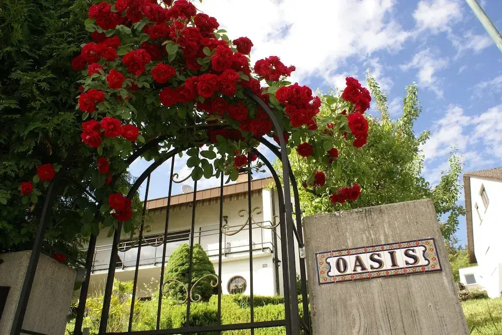 Oasis Apartment