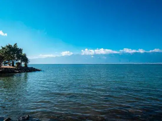 Dalixixiayueshang Sunset on the Sea A Fragrant Afternoon with Tea  Sea-Viewing on the Terrace