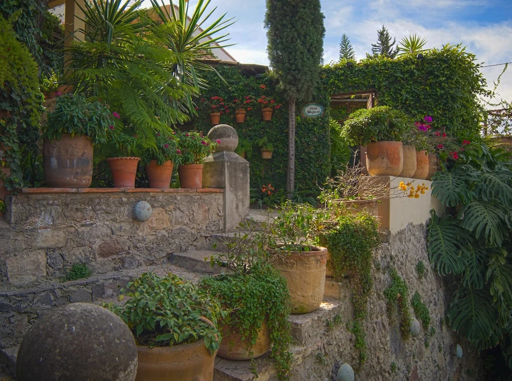 Las Terrazas San Miguel