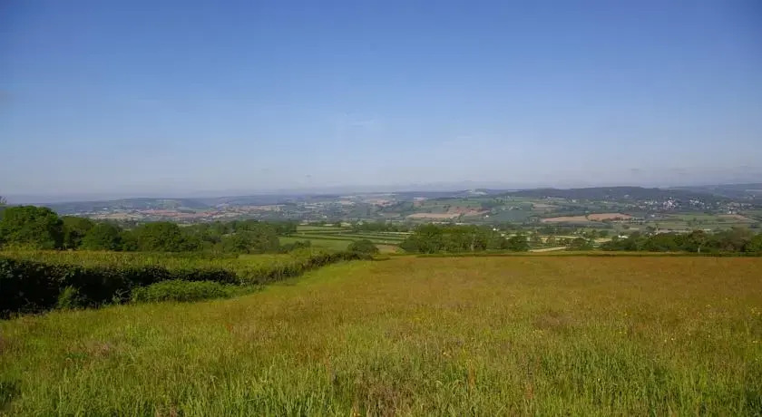 Wyke Farm
