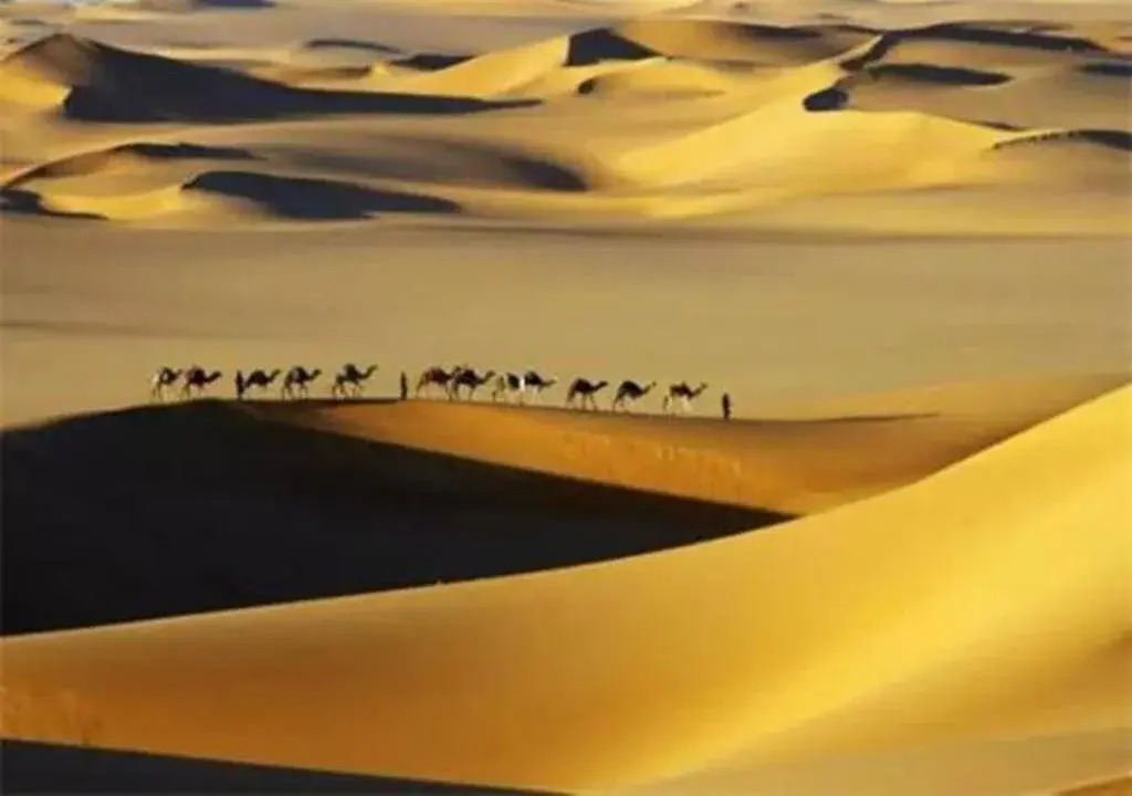 Datang Purple Camel Hostel Dunhuang