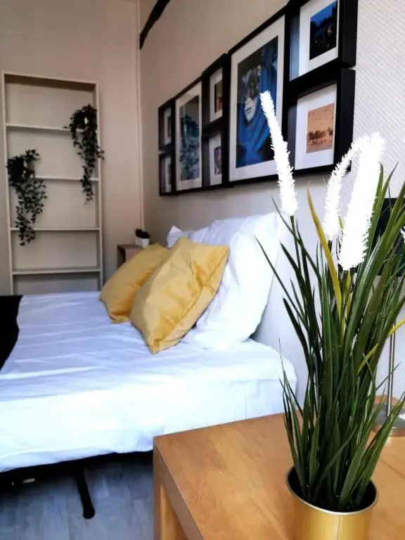 Suites Rive Gauche - DUPLEX CHARM Fontainebleau