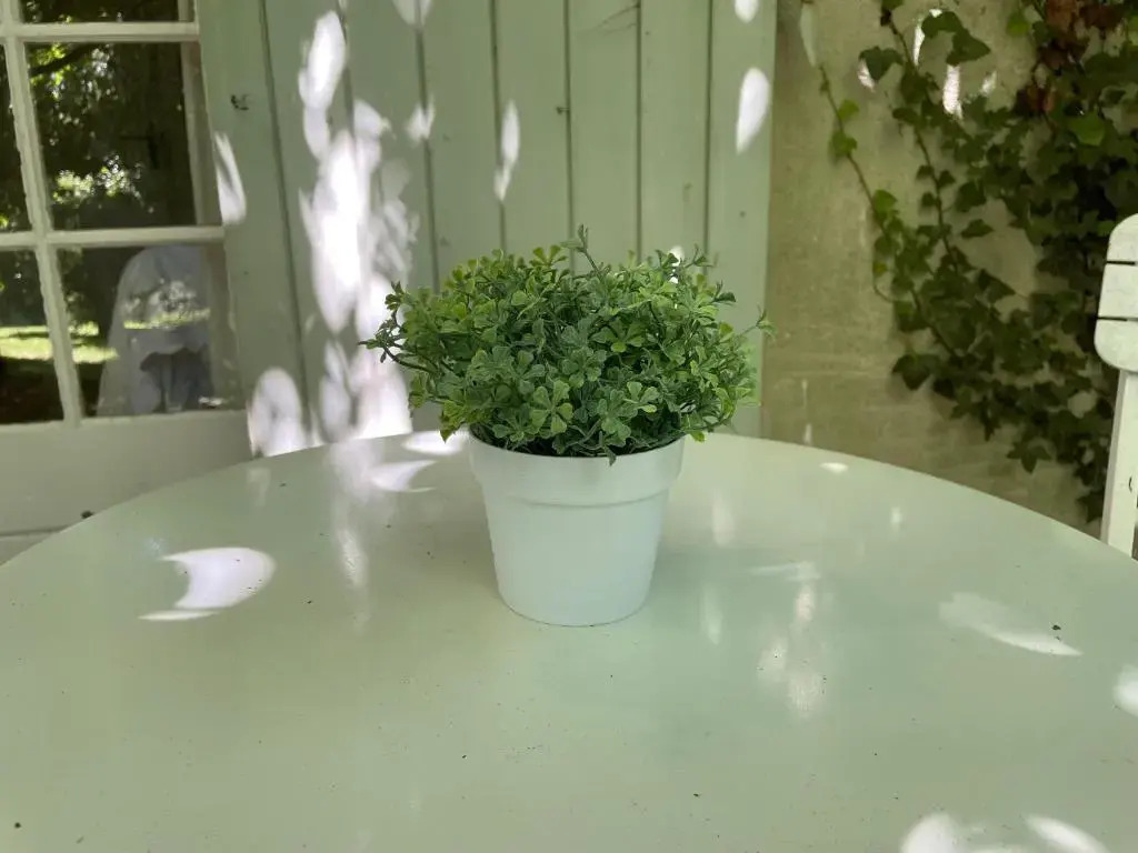 The Garden Room
