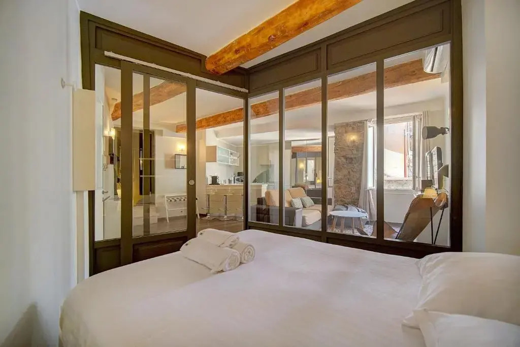 IMMOGROOM - AC - Full comfort - City center of Cannes