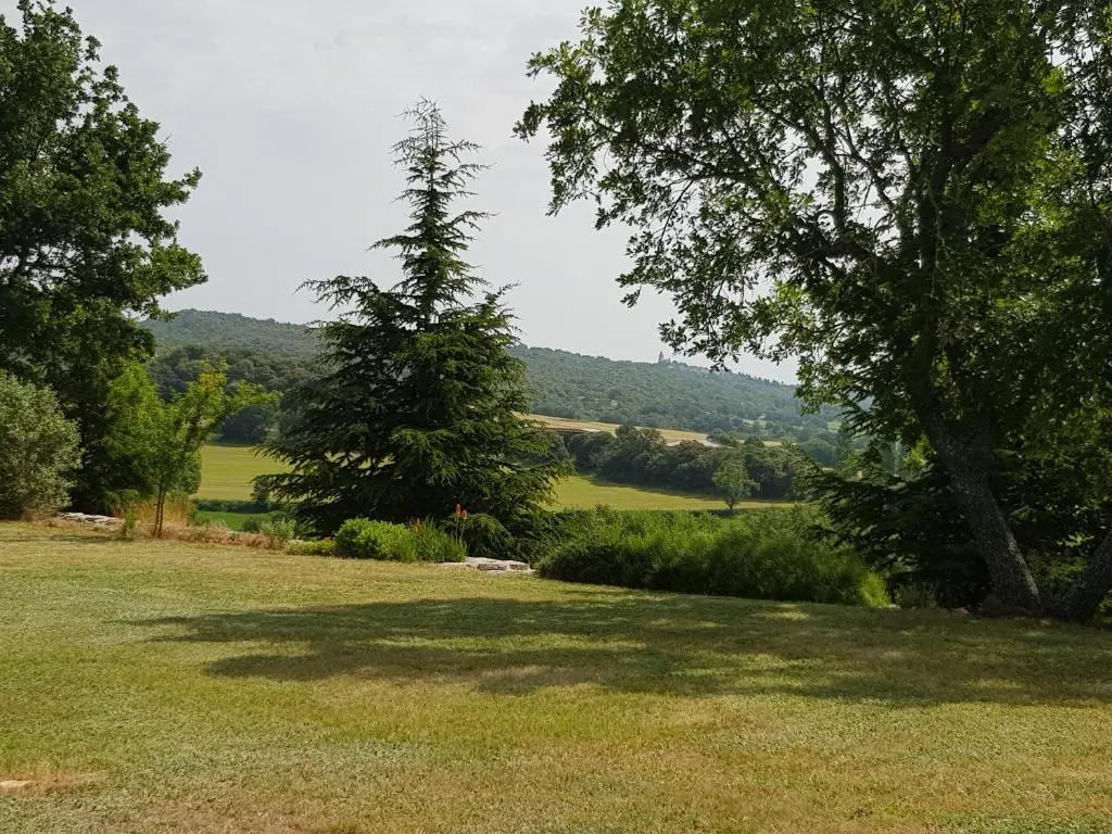 Les Néfliers chambre dhôtes