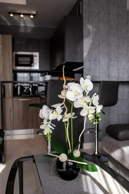 Aparthotel New Lux