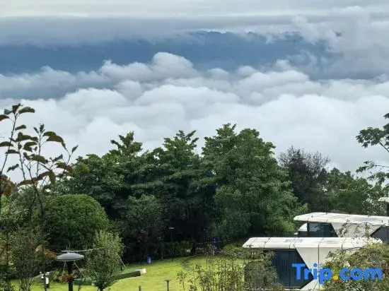 Chashan Bamboo Sea Stargazing Camping Base