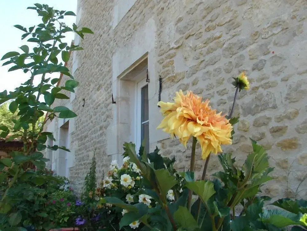 Le Marais Picotin