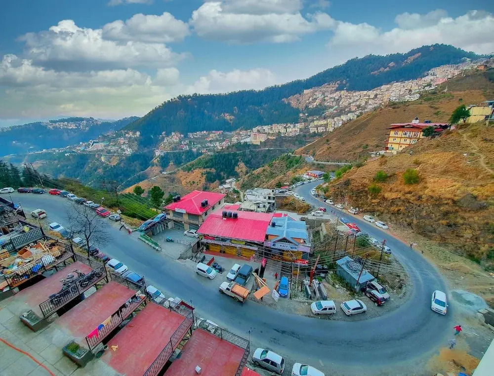 The Orchid Shimla