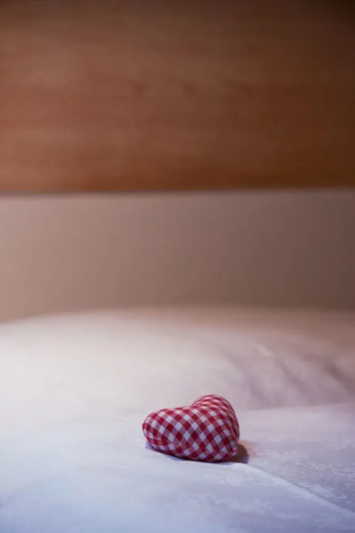 Chalet Altesse Serviced Apartments