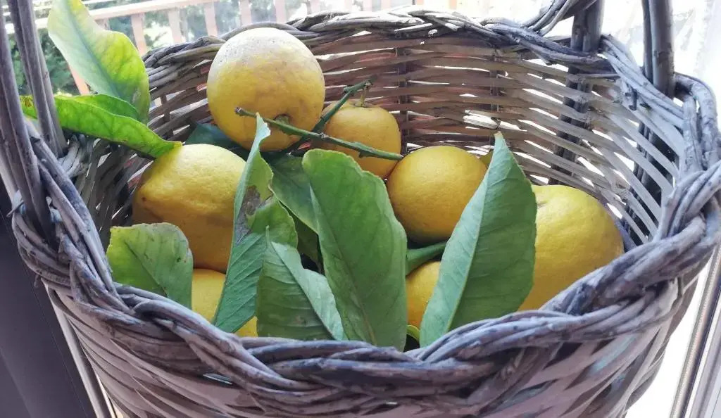 San Leone Guest House Valle dei Templi Agrigento