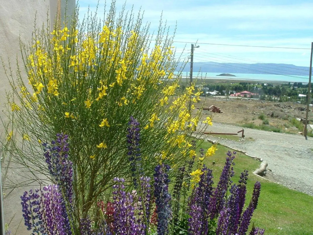 Kelta Hotel El Calafate