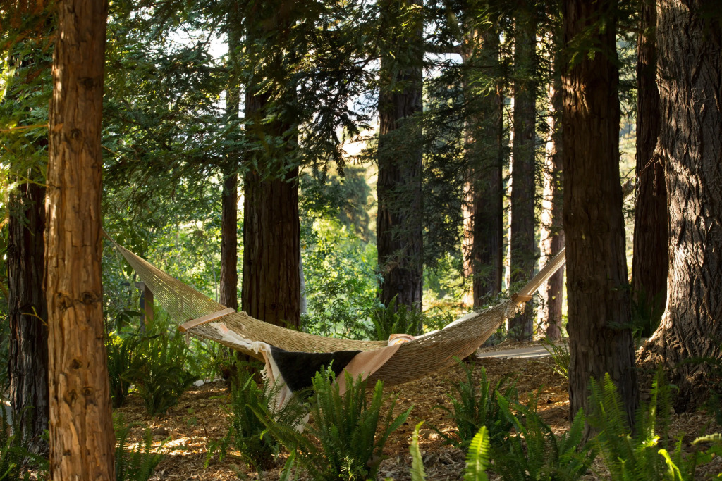 Alila Ventana Big Sur