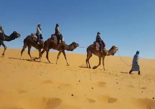 Nomad Bivouac