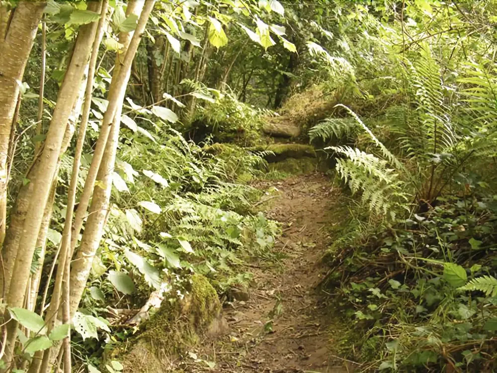 Sendero del Agua