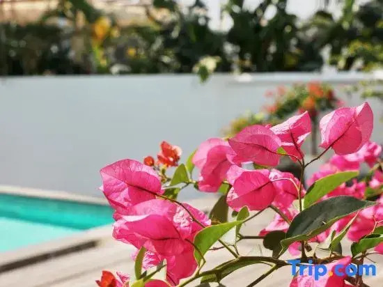 May Inn