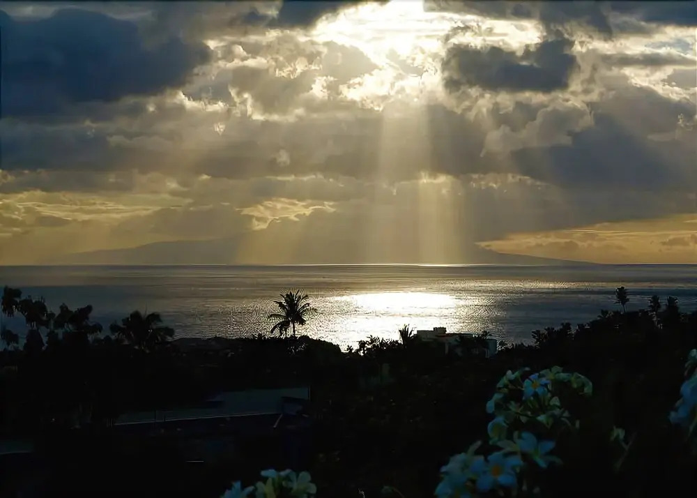 Wailea Ekolu 1106 - Two Bedroom Condo with Ocean View
