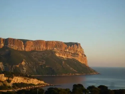 Au Cedre de Cassis