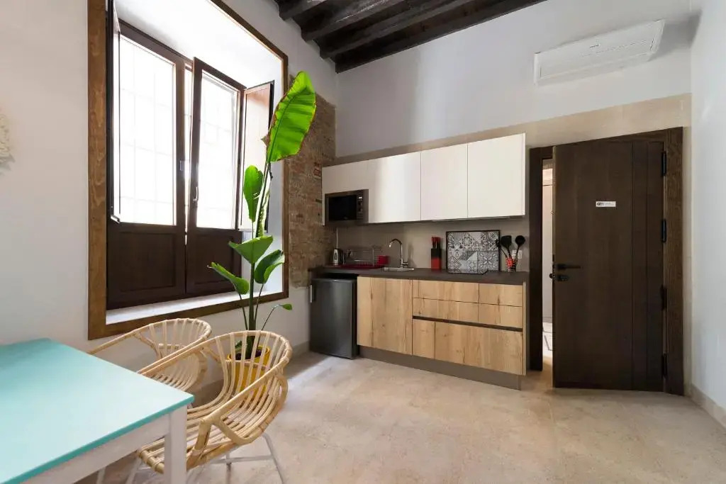 Apartamentos Simba