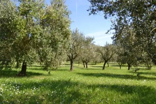 Villa Marta