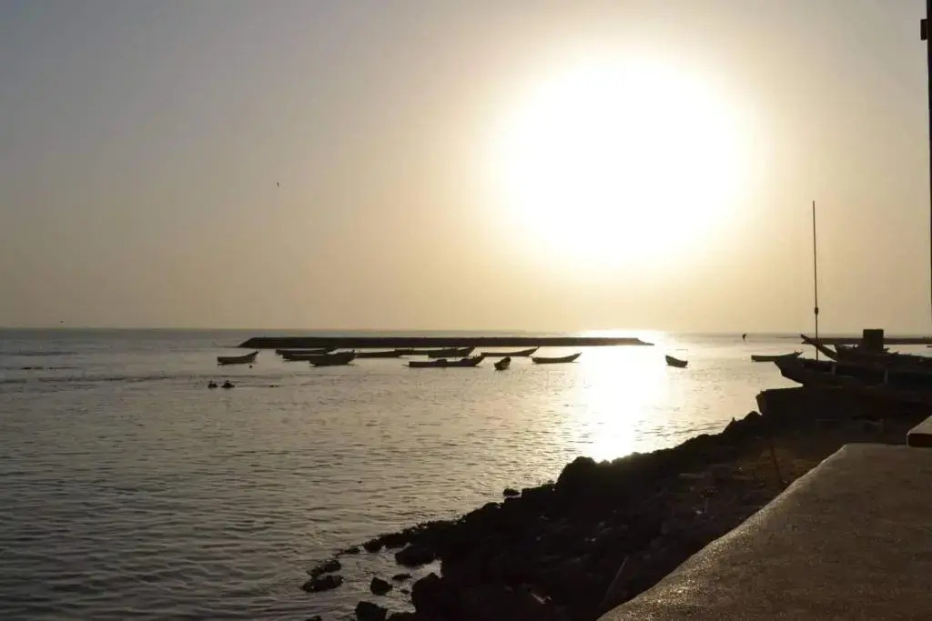 Jardin dAfrique, Saly