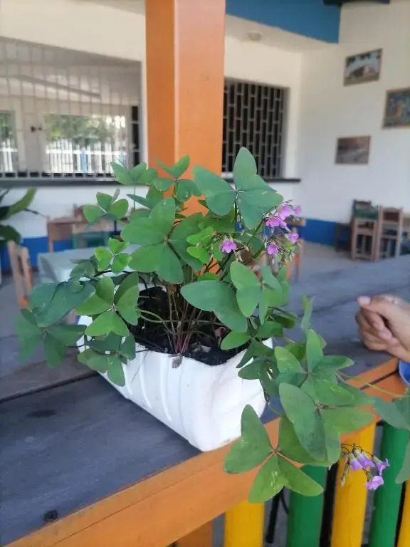 Hotel campestre la Maria
