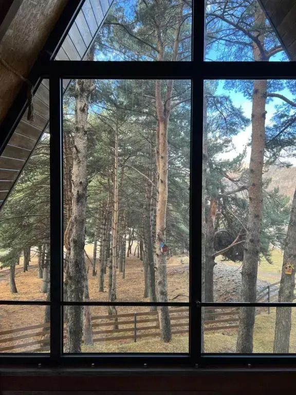 Elia Loft