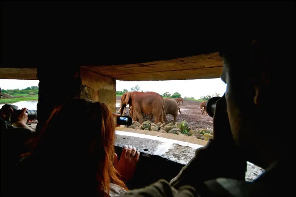The Ark Lodge