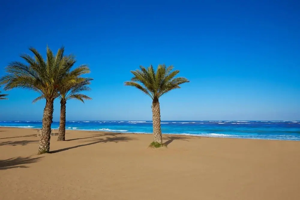 Marina B1 in D nia With 3 Bedrooms and 2 Bathrooms