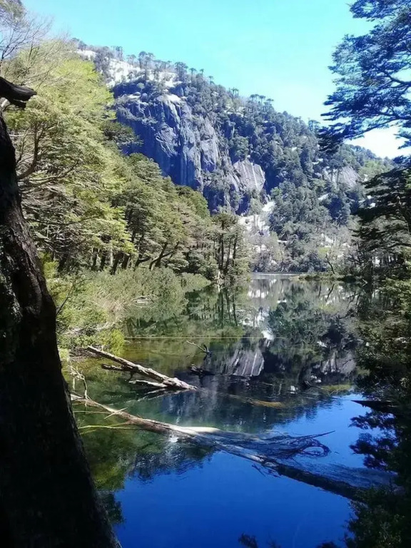 Cabana En La Pradera Lindo Paisaje En Pucon