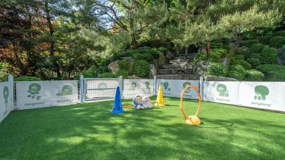 Pocheon luxjay pet Pension