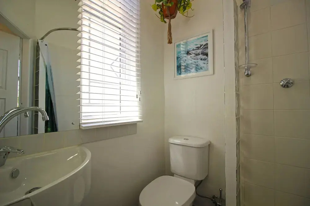 Thornhill Flats 19