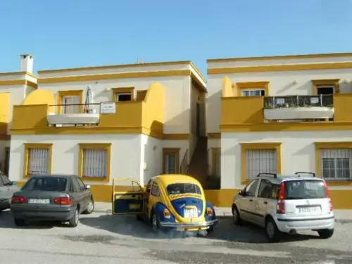 Estudio Tortuga I