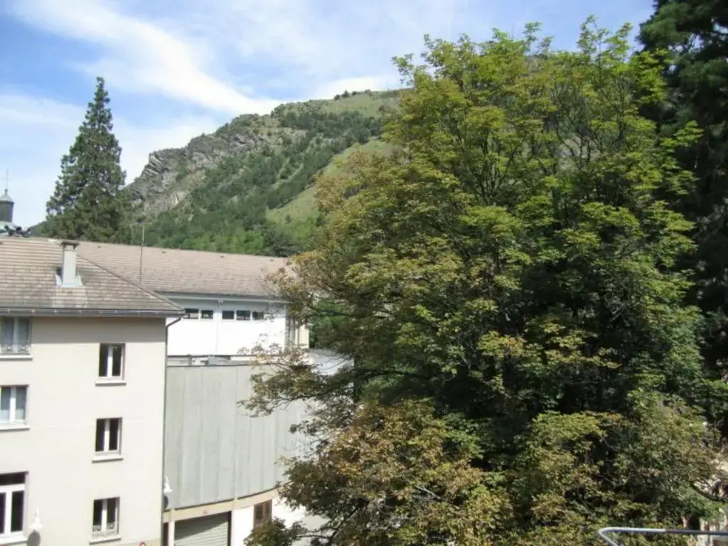 Appartement Brides-les-Bains, 1 pièce, 4 personnes - FR-1-512-113