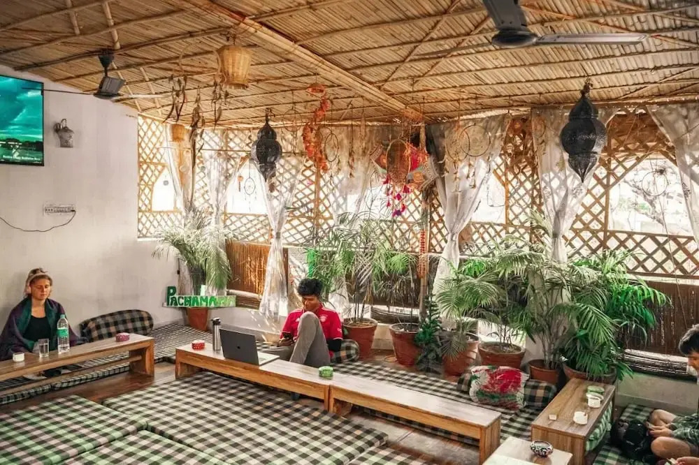 Flamingos Hostel Jaipur