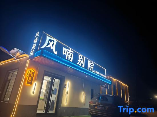 Fengnan Bieyuan · Meeting Light Luxury Homestay